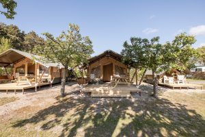 Safaritenten op Camping Landzicht_