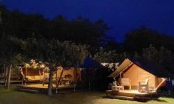 Safari tenten in het donker_
